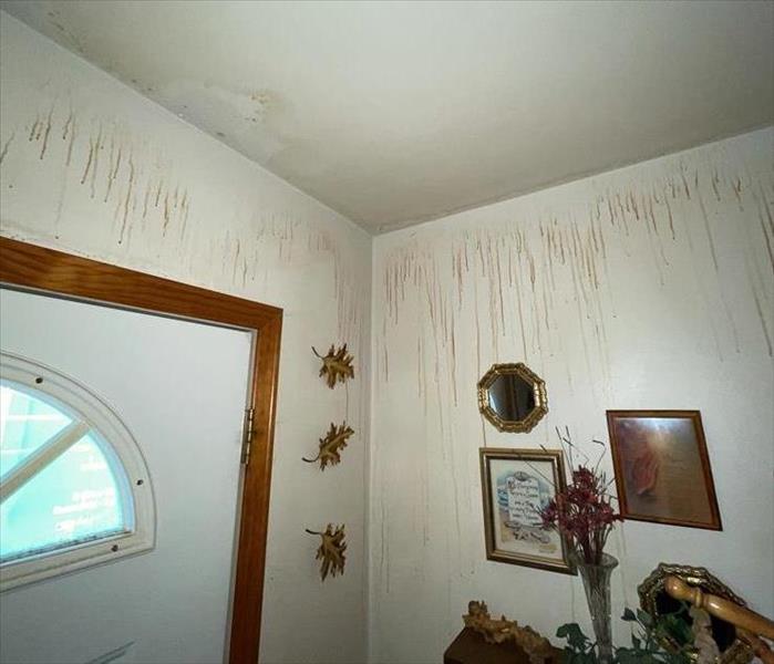 water damage in walls