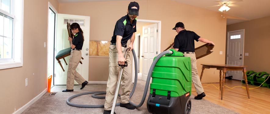 Jackson, MI cleaning services